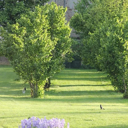 Guest house Friciulin -
