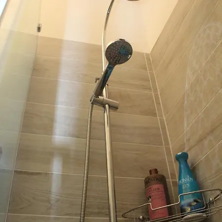 Gasthuis Friciulin -